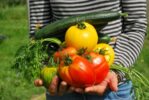Einfach zu ziehende Gemüse- und Obstsorten für Selbstversorger